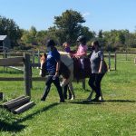 Equineability4
