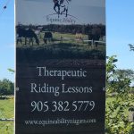 Equineability9